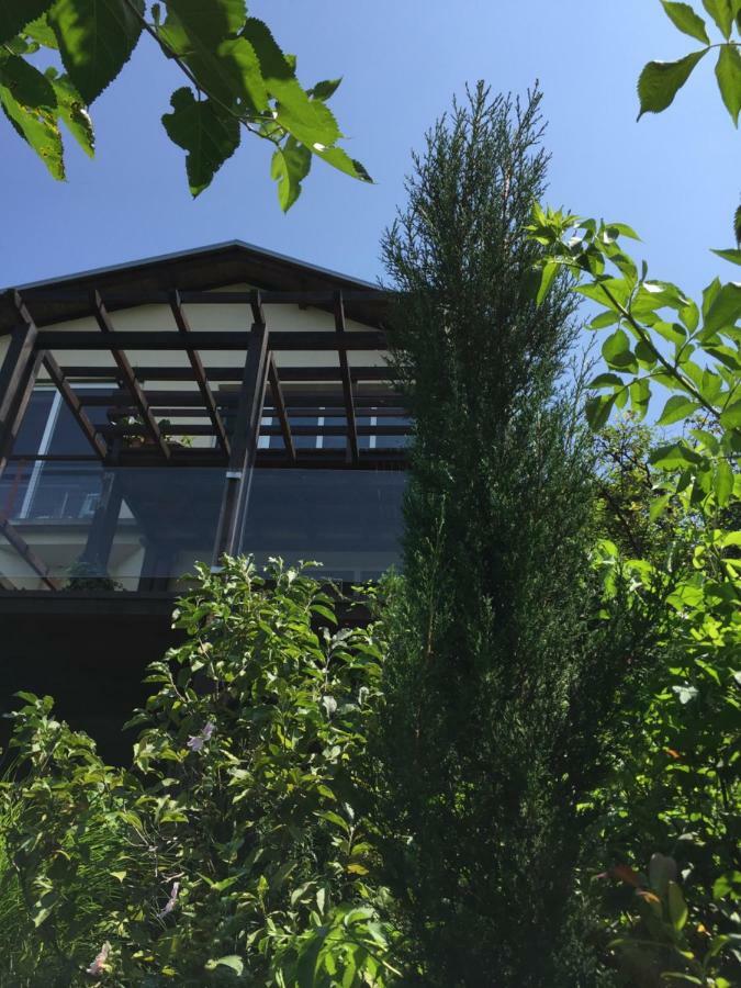 Ferienwohnung Pergola House In A Green Oasis With Fantastic View Petrovaradin Exterior foto